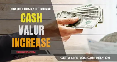 Does Your Life Insurance Cash Value Increase?