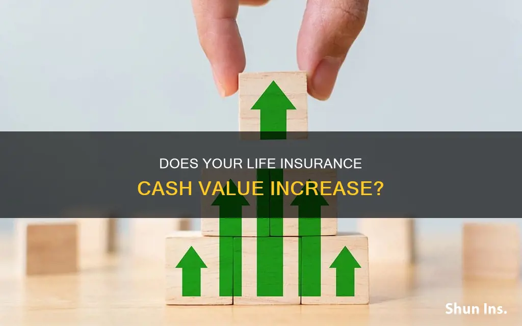 how often does my life insurance cash valur increase