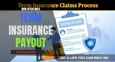 Term Insurance Payout Frequency: Unraveling the Mystery of When Benefits Are Disbursed