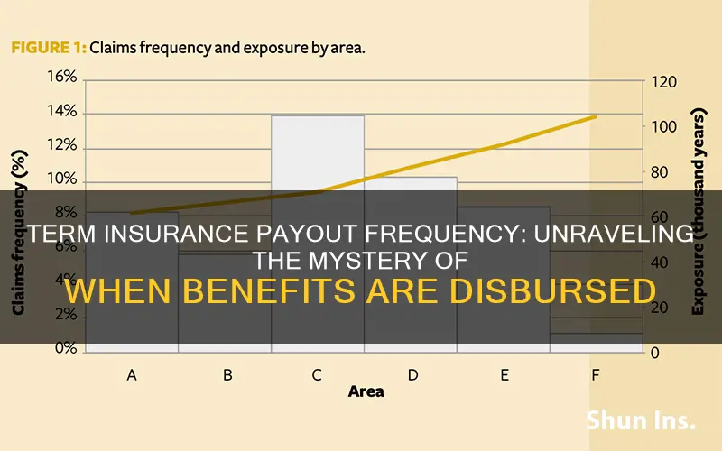 how often does term insurance payout