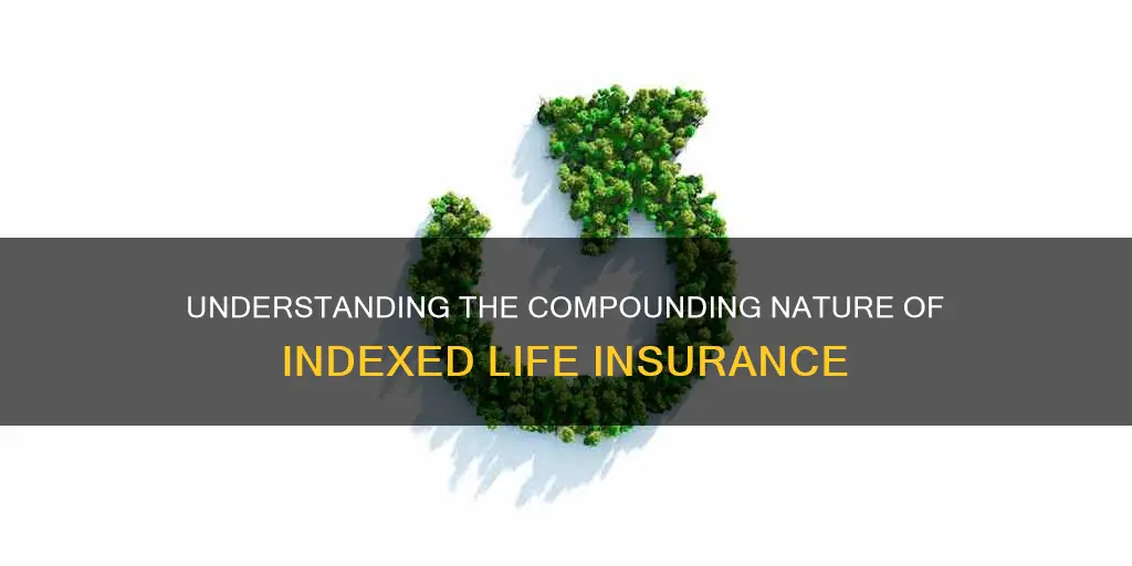 how often is indexed life insurance compounded