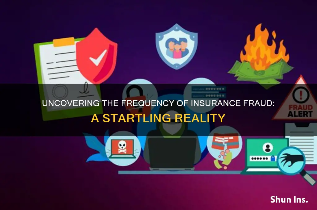 how often is insurance fraud