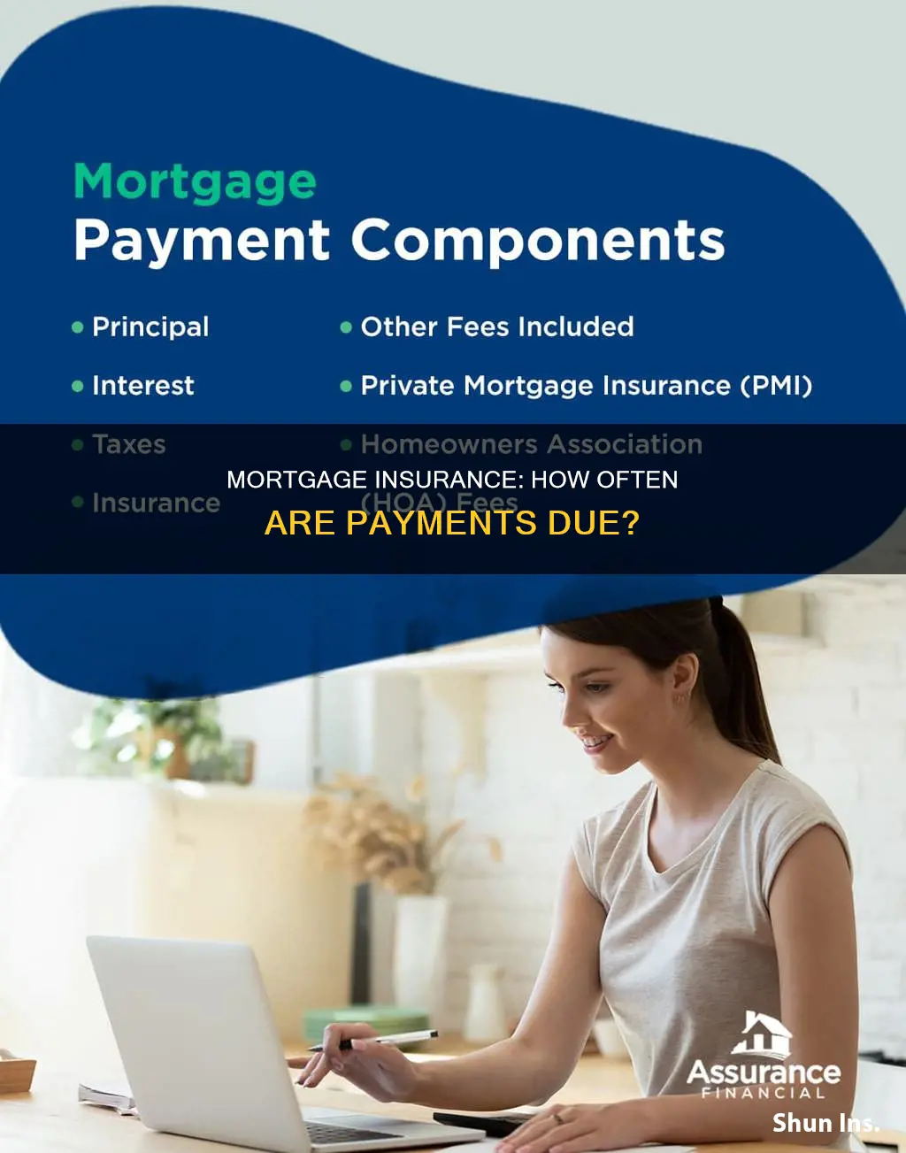how often is mortgage insurance paid