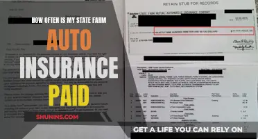 State Farm Auto Insurance: Payment Frequency and Your Policy