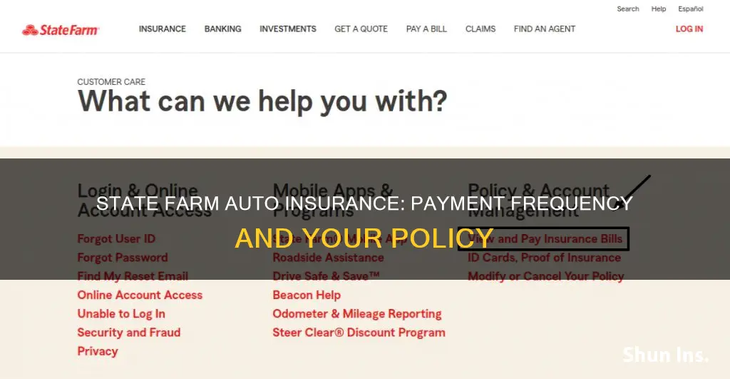 how often is my state farm auto insurance paid