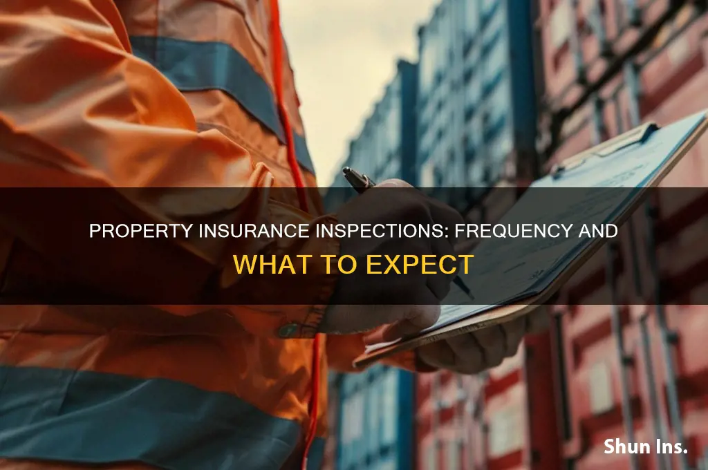 how often is there an inspection of oroperty for insurance