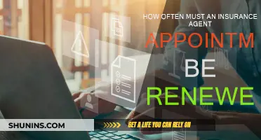 Insurance Agent Appointments: How Often to Renew?