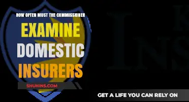 Regulating Domestic Insurers: Commissioner Examination Frequency Explained