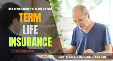 Renewing 20-Year Term Life Insurance: When and Why to Do It