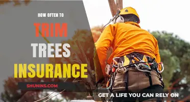 Tree Trimming Frequency: Protecting Your Property and Insurance Coverage