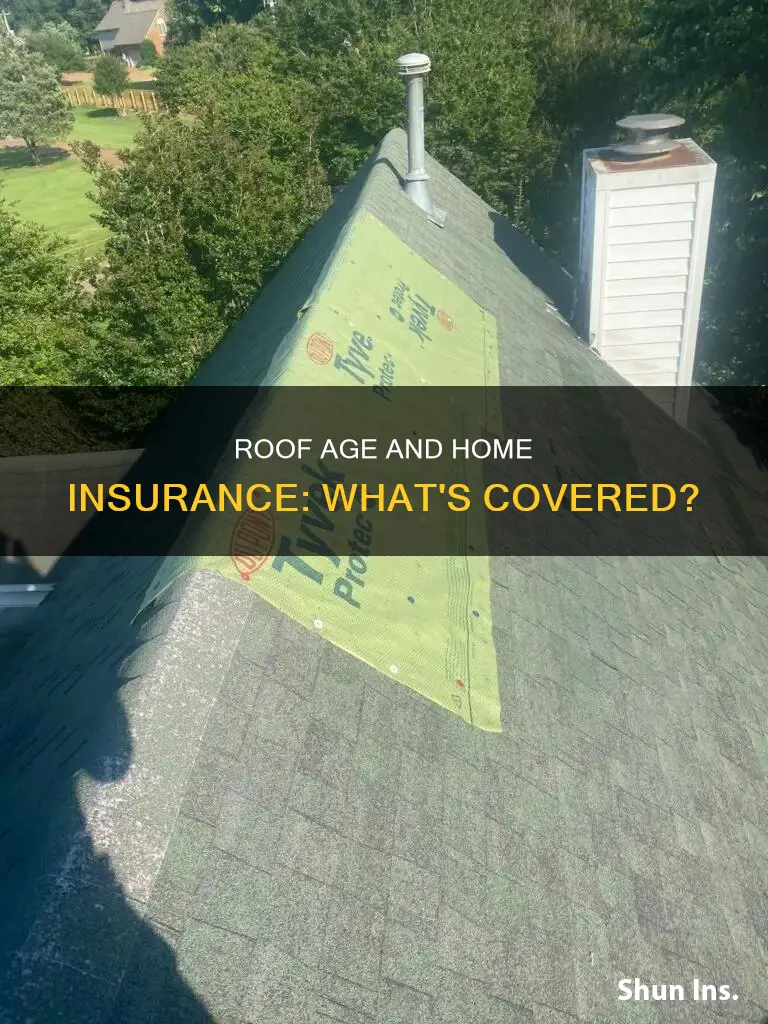how old can a roof be to get homeowners insurance