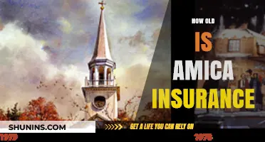 Discovering Amica Insurance's Age: A Historical Overview of the Company
