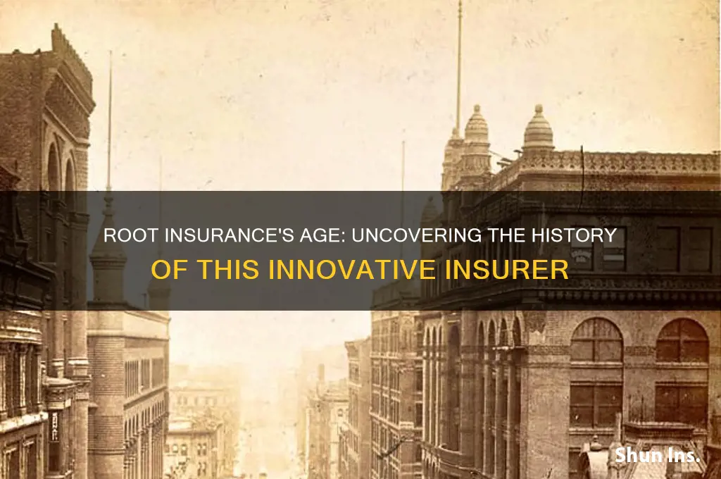 how old is root insurance
