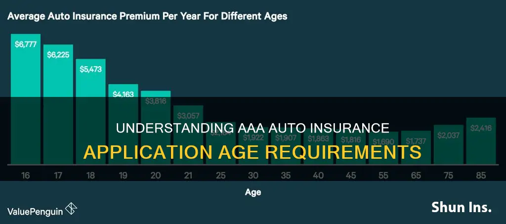 how old to apply to aaa auto insurance