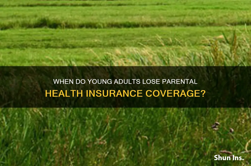 how old until lose insurance