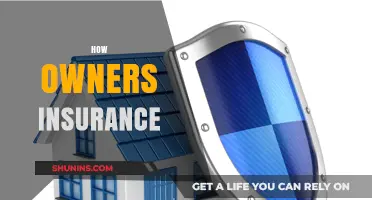 Insurance for Peace of Mind: Protecting Your Home and Belongings