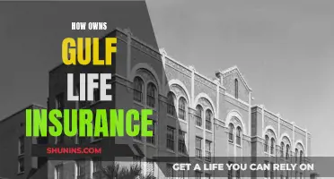 Gulf Life Insurance: Who Owns This Lucrative Business?