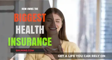 Who Dominates the Health Insurance Market? Top Owners Revealed