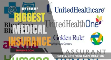 Who Dominates the Medical Insurance Industry?