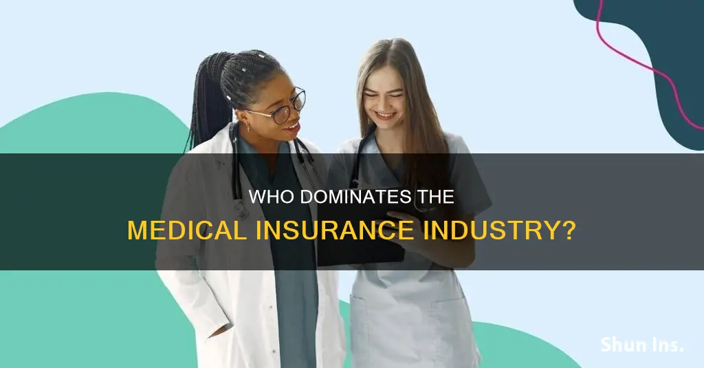 how owns the biggest medical insurance