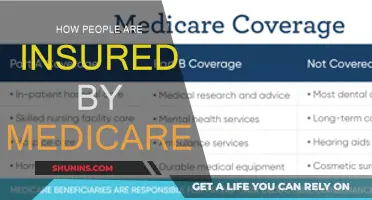 Medicare: Understanding Your Insurance Coverage Options