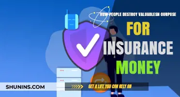 Valuables Destroyed for Insurance Payouts: A Growing Scam