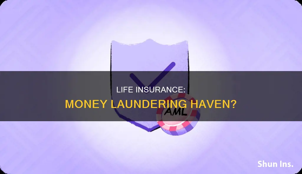 how people use life insurance to launder money