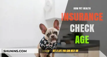 Understanding Pet Health Insurance Age Requirements: A Comprehensive Guide
