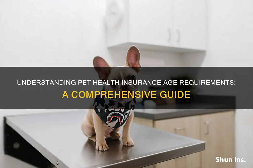 how pet health insurance check age