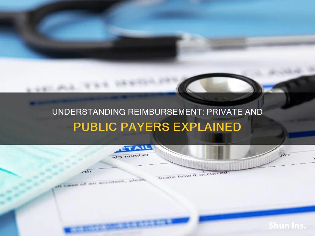 how private and government insurers and payers impact actual reimbursement