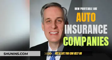 Auto Insurance Companies: A Profitable Business Model?