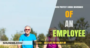 Safeguarding Employee Cobra Insurance: Essential Tips for Employers and Workers