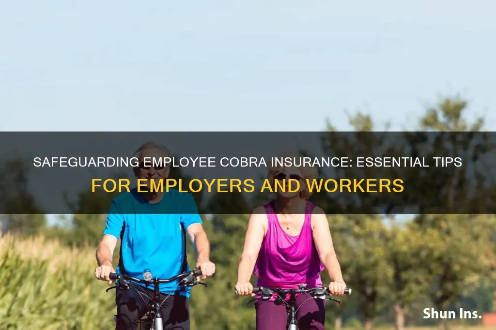 how protect cobra insurance of an employee