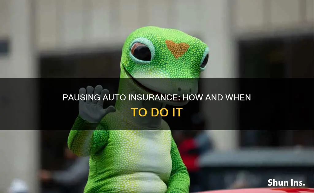 how pt pause gieco auto insurance