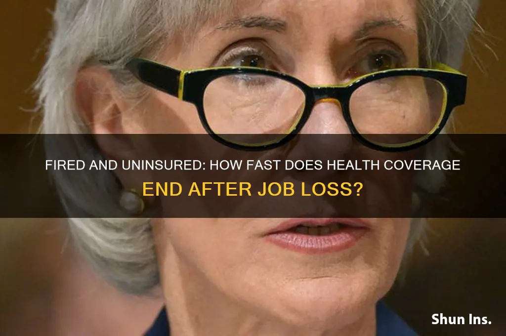 how quick do you lose your insurance when fired