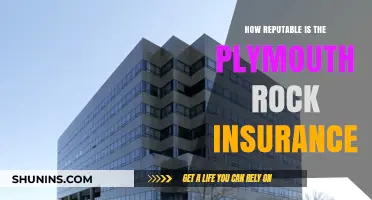 Plymouth Rock Insurance Review: Assessing Reputation, Reliability, and Customer Trust