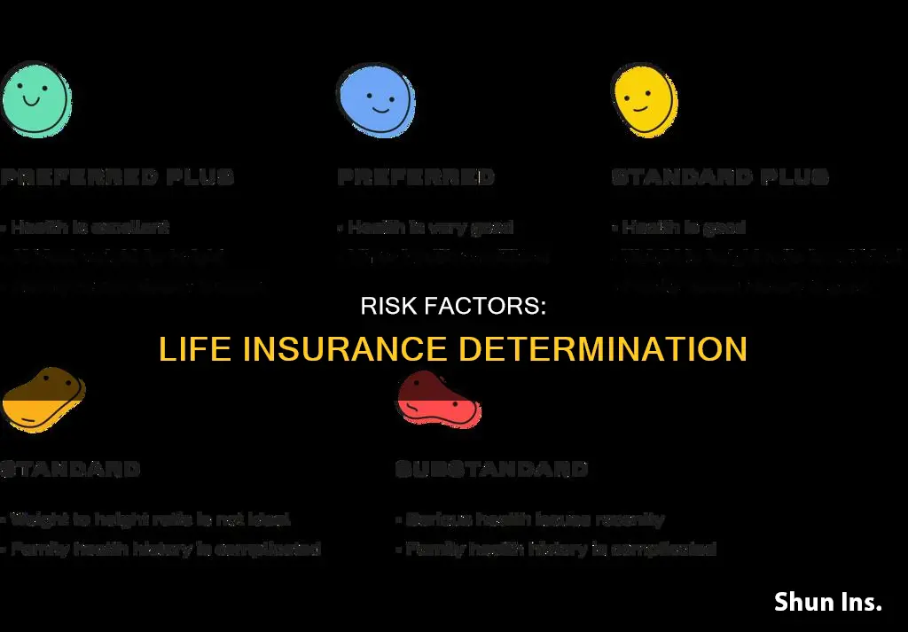 how risk is determined in life insurance