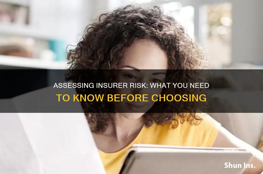 how risky is your insurer