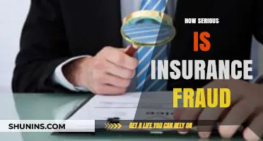 Insurance Fraud: A Serious Crime with Costly Consequences for All