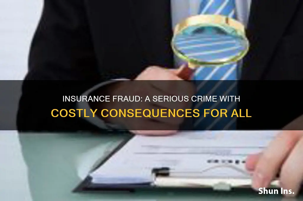 how serious is insurance fraud