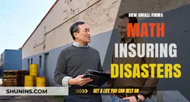 Small Firms' Disaster Insurance Strategies: Mitigating Risks Effectively