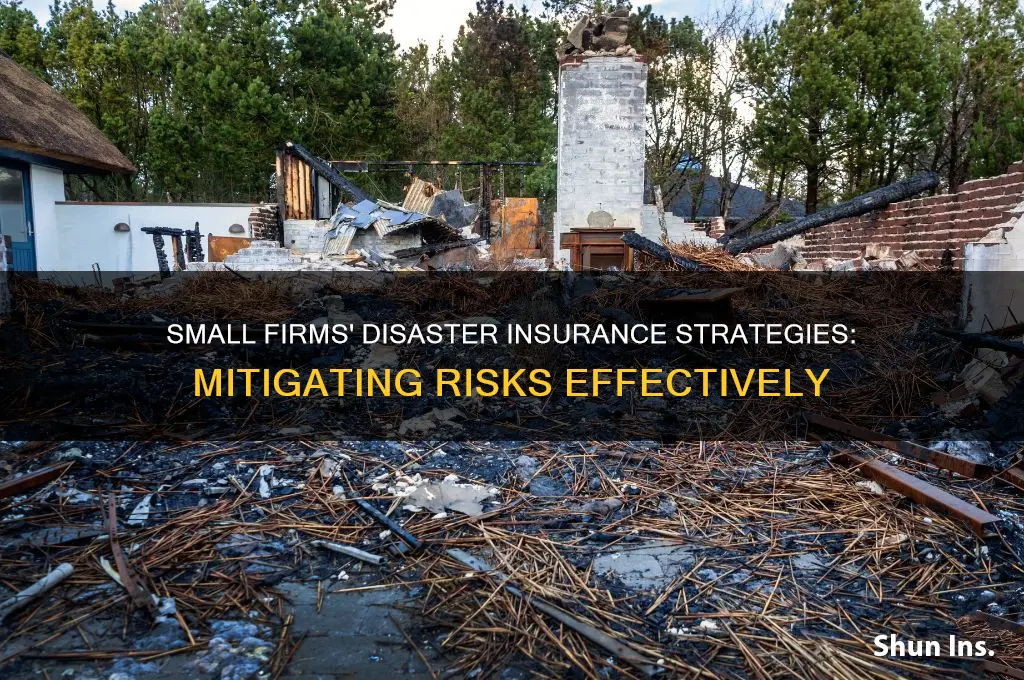 how small firms math insuring disasters