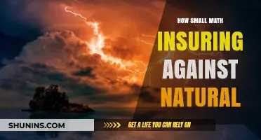 Small Math, Big Protection: Insuring Against Natural Disasters Effectively