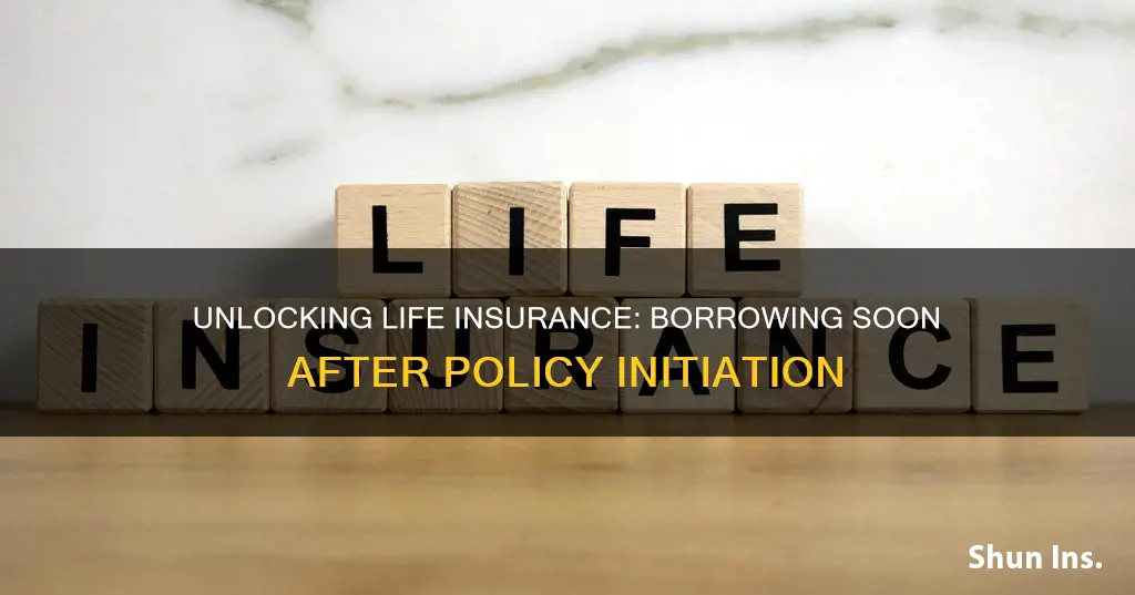 how soon can you borrow against life insurance