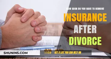Post-Divorce Insurance Changes: When to Update Your Coverage