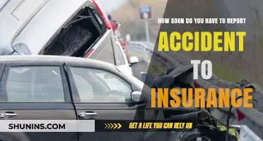 Report Accidents to Insurance: What's the Timeline?
