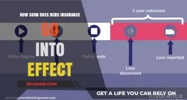 When Does Your BCBS Insurance Coverage Begin?