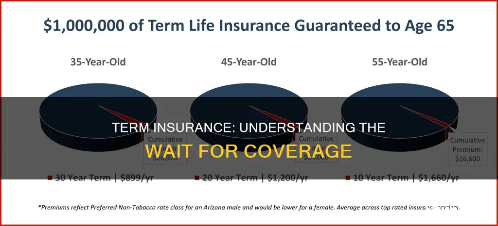 how soon is term insurance in effect