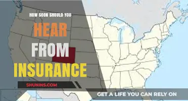 When to Expect a Response from Your Insurance Provider After Filing