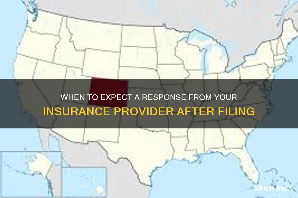 how soon should you hear from insurance